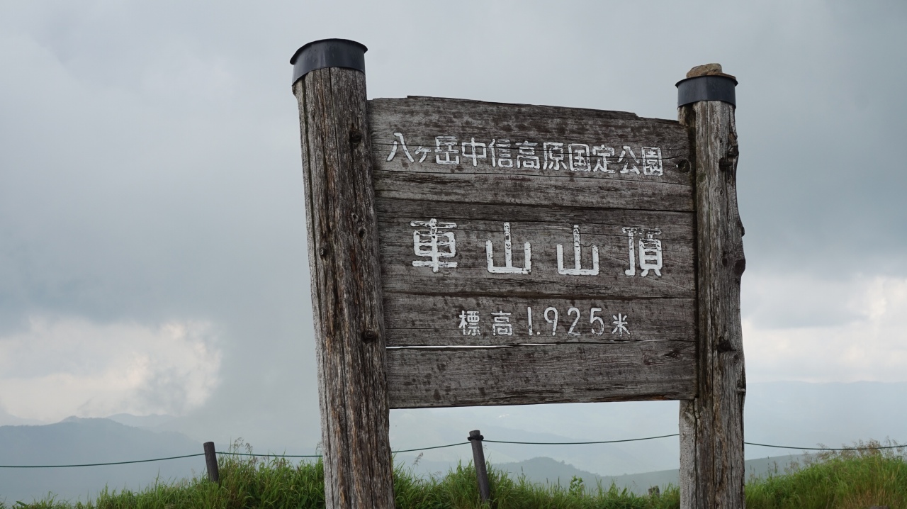 2021年7月24日 霧ヶ峰～車山 トレッキング (31)