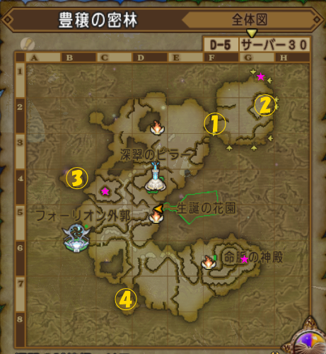 豊穣の密林