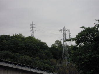 電線が続いていない２１０５１２中村川沿いの道