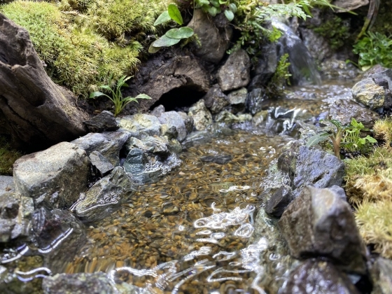 水の流れる滝テラリウム水槽 苔テラリウムイモリ - 魚用品/水草