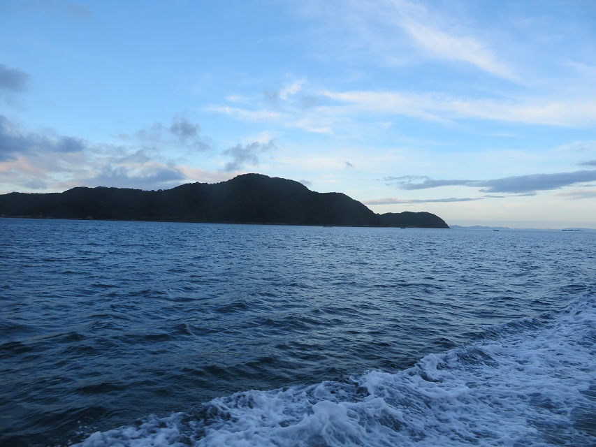 IMG_9524.jpg
