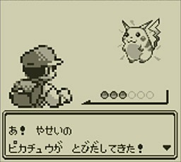 pokemon-pikachu_202107191153485fb.jpg