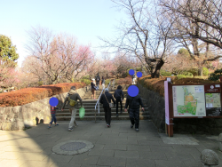羽木公園　代田・代沢散策２
