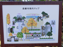 森厳寺　境内マップ　代田・代沢散策６