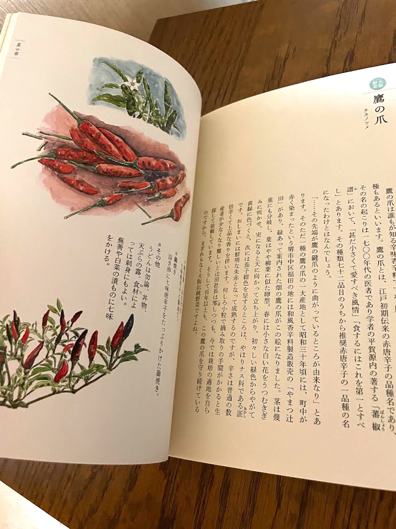 『おいしい野菜図鑑』（西日本出版社・刊）