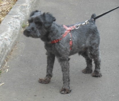 DSCN7088.jpg