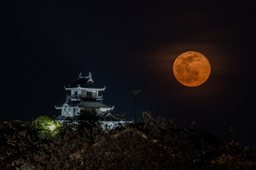 掛川城と満月