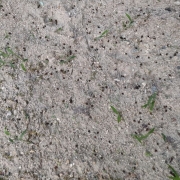 IMG20220914175849s.jpg