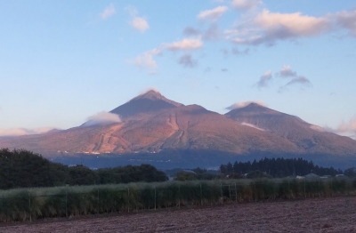 kouyou103004.jpg