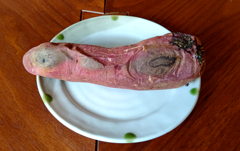 220119焼き芋