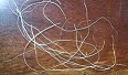 DSC_2880 ヘチマの糸