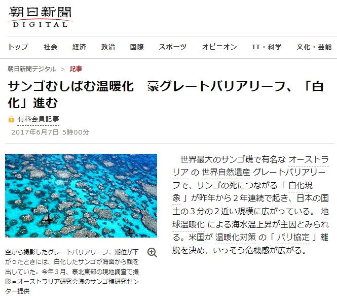 朝日新聞　サンゴ