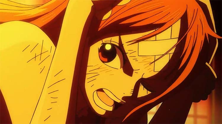 ワンピース　アニメ　ナミ
