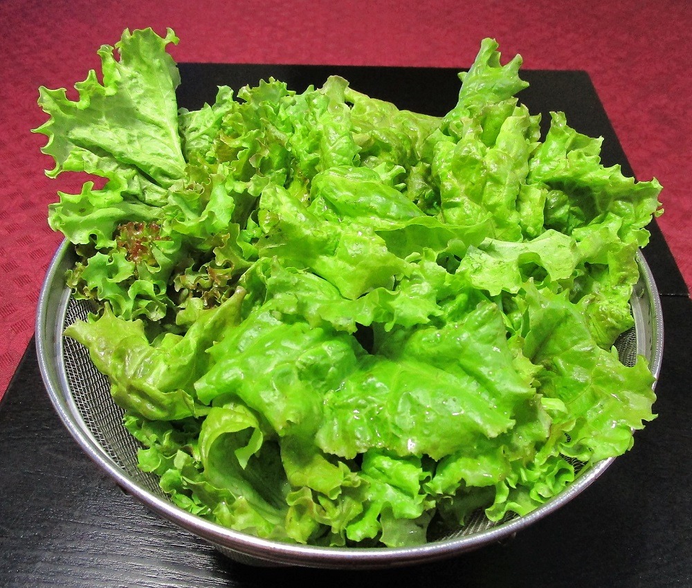 210704leaf-lettuce3
