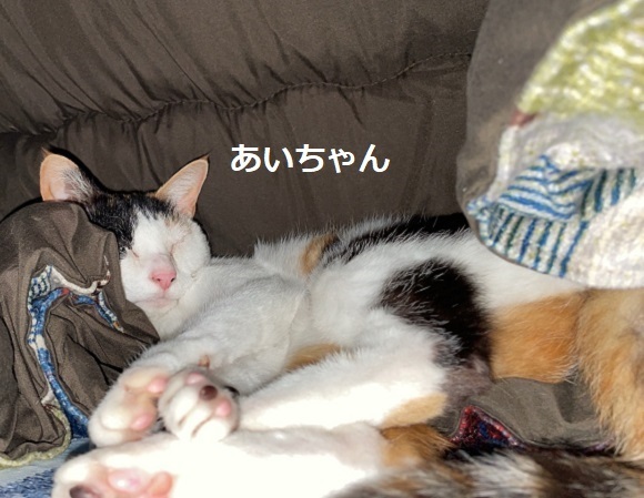 221102002.jpg