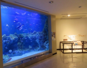 魚っ知水族館15