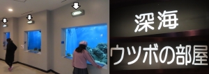 魚っ知水族館13-1