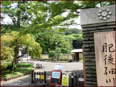 20210819　細川庭園　１　　夏の神田川