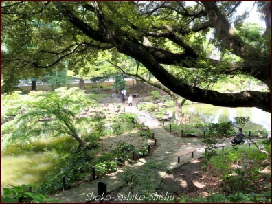 20210819　細川庭園　5　　夏の神田川