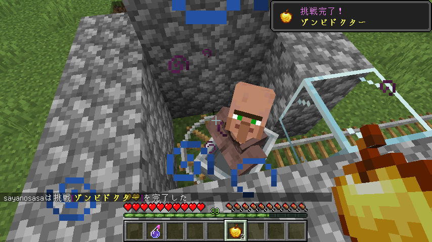 cure_zombie_villager_3.png