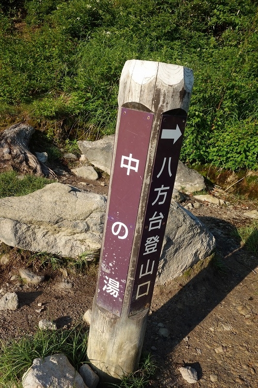 DSC01965.jpg