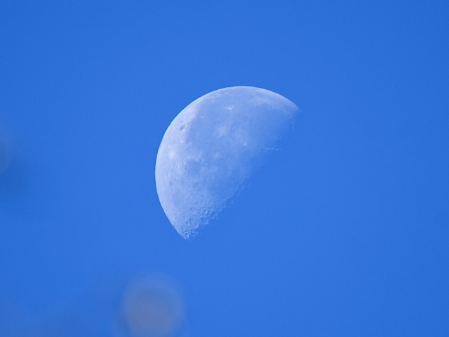 moon20211128_1.jpg