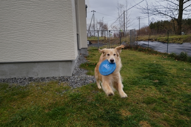 20211107DSC_0014.jpg