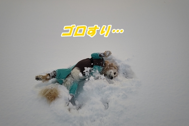 20211203DSC_0305.jpg