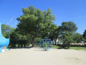 城跡公園21-12