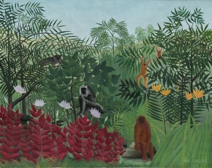 猿のいる熱帯林