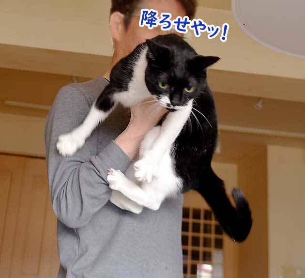 スケキヨ７