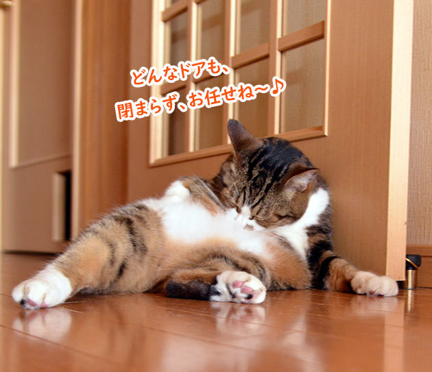 ドアストッパー３