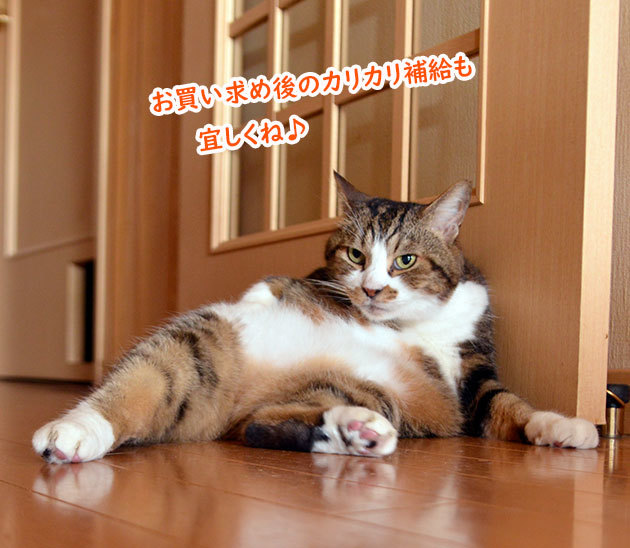 ドアストッパー５
