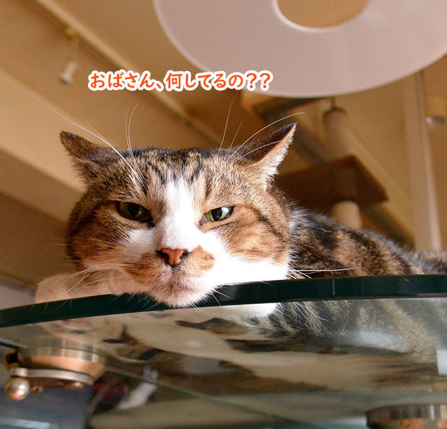 原点に返って６
