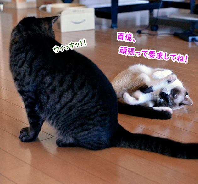 代行３