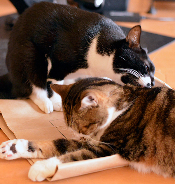 そこにあるから３